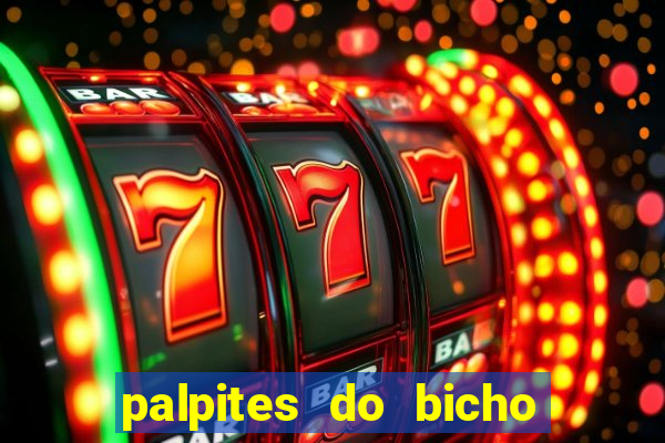 palpites do bicho no celular