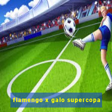 flamengo x galo supercopa