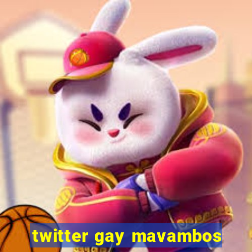 twitter gay mavambos