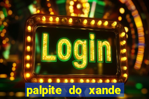 palpite do xande para hoje