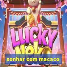 sonhar com macaco