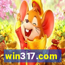 win317.com