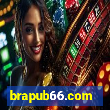 brapub66.com