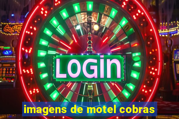 imagens de motel cobras