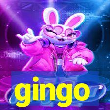 gingo