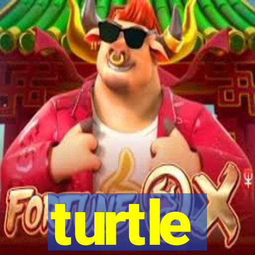 turtle-ty.com