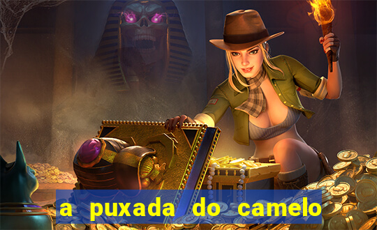 a puxada do camelo no jogo do bicho