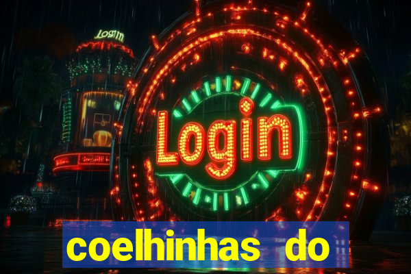 coelhinhas do brasil recife