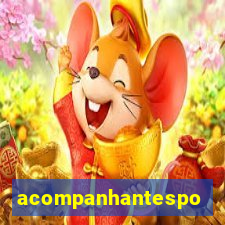 acompanhantesportovelho