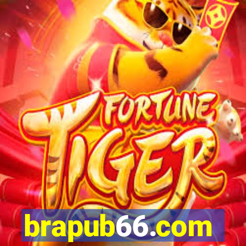 brapub66.com