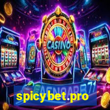 spicybet.pro